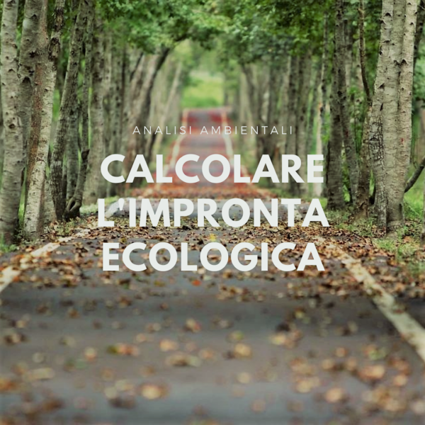 calcolare-l-impronta-ecologica-carbon-footprint Calcolare l'impronta ecologica