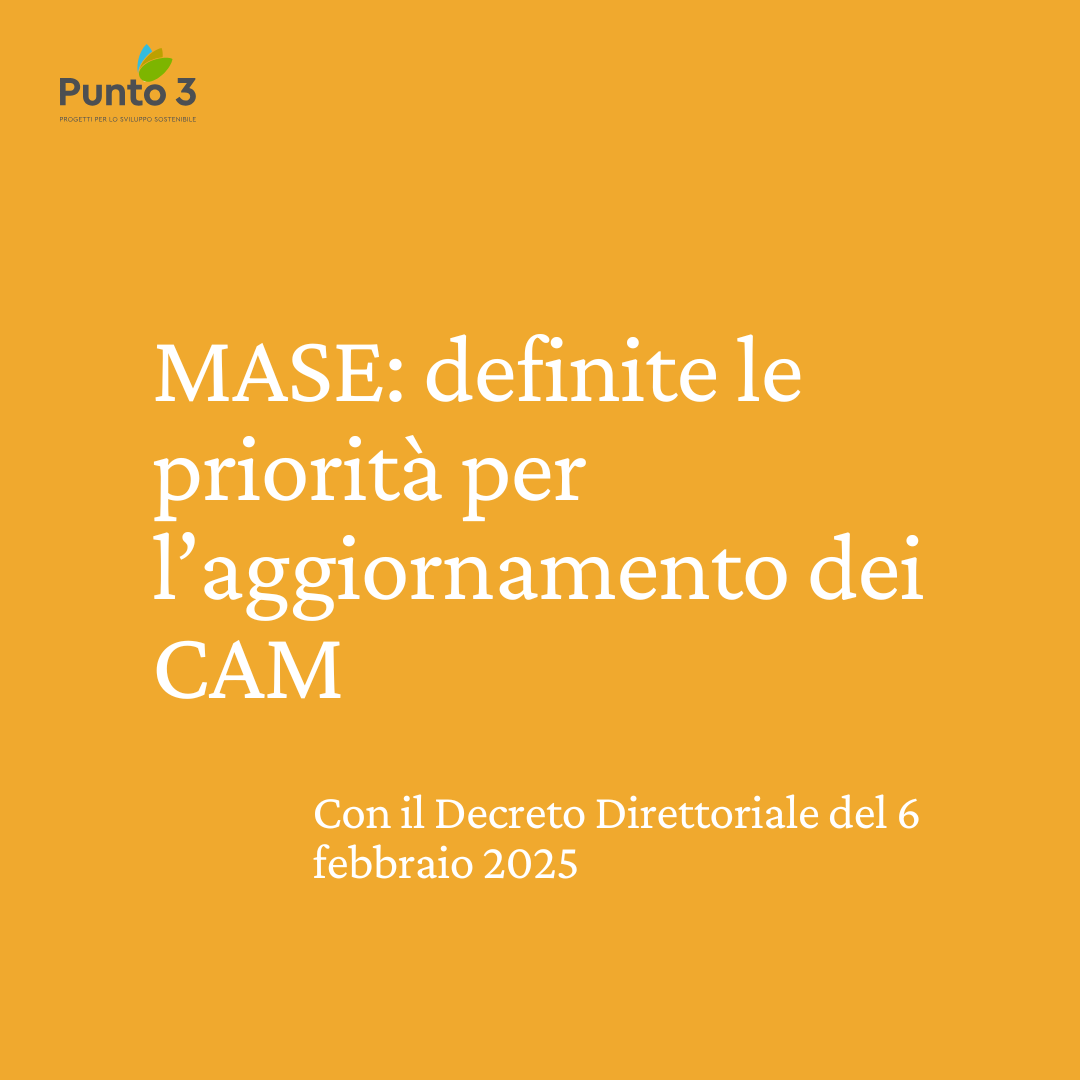 Aggiornamento dei CAM pubblicato dal MASE