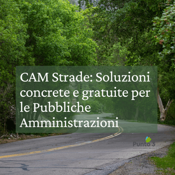 Immagini in evidenza