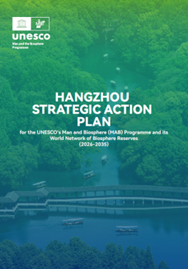 Hangzhou Strategic Action Plan
